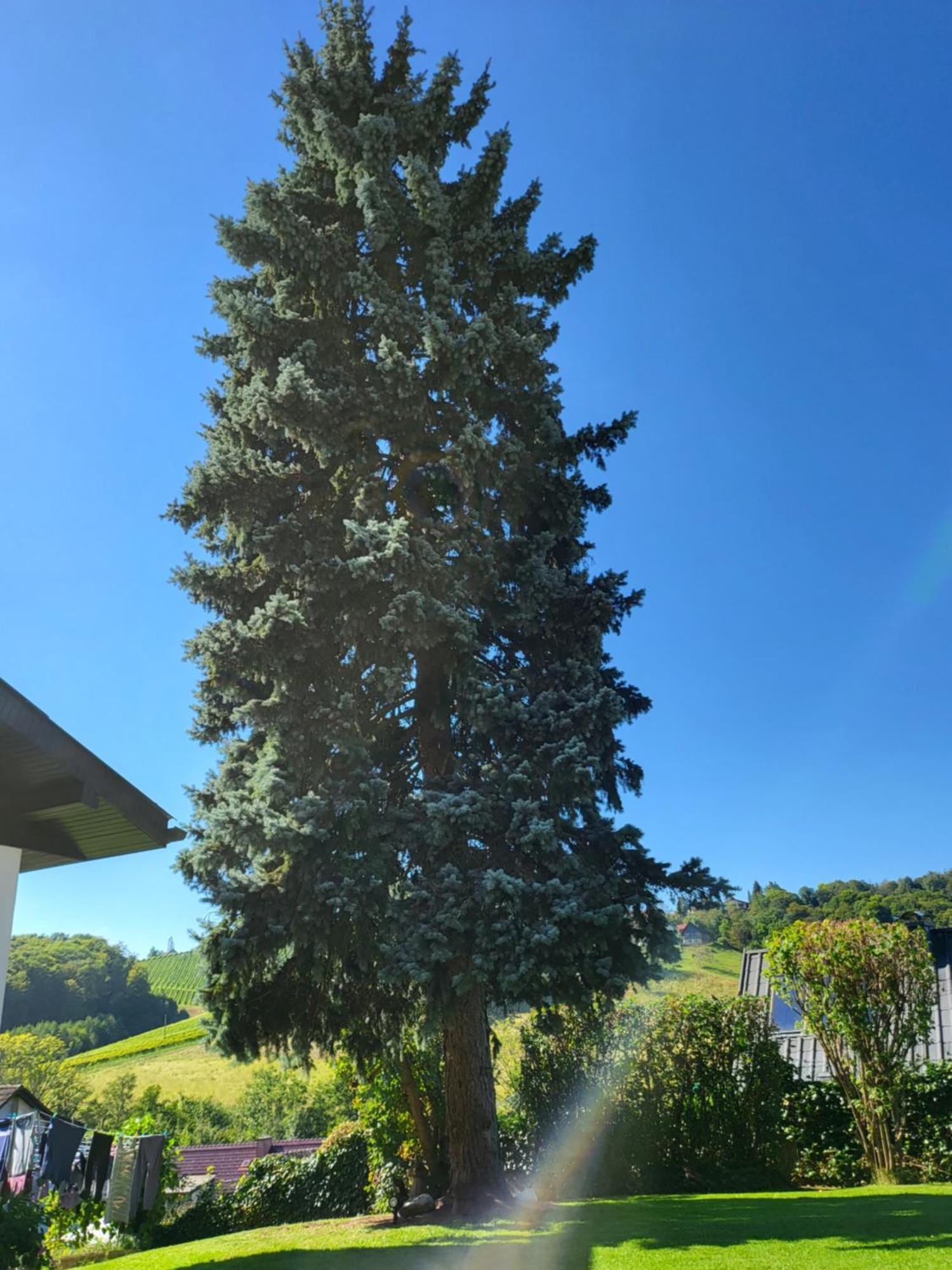 Ferienwohnung Zangl Am Seggauberg - Suedsteiermark Λάιμπνιτς Εξωτερικό φωτογραφία